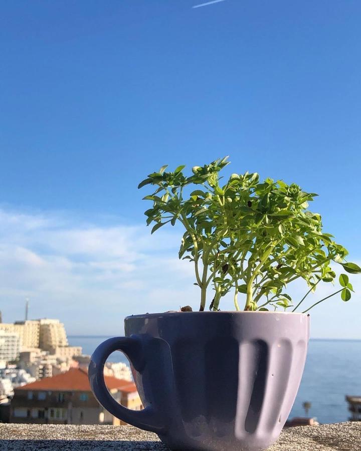 Studio Apartments Kul Budva Luaran gambar